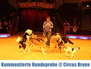 Circus Krone: kommentierte öffentliche Dressurprobe mit Rosi Hochegger und ihren Hunden am 27.01.2013 (©Foto: Martin Schmitz)